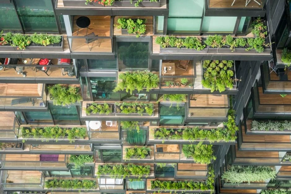 Rewilding our cities: beauty, biodiversity and the biophilic cities movement