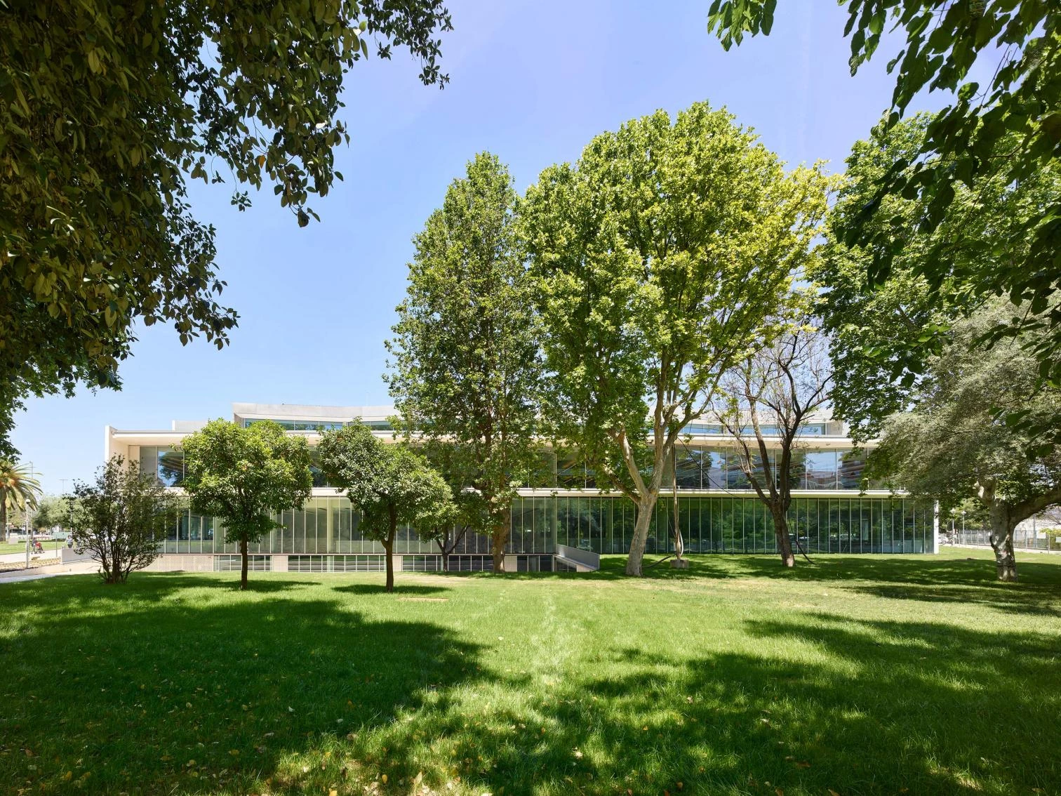 Public Library, Córdoba