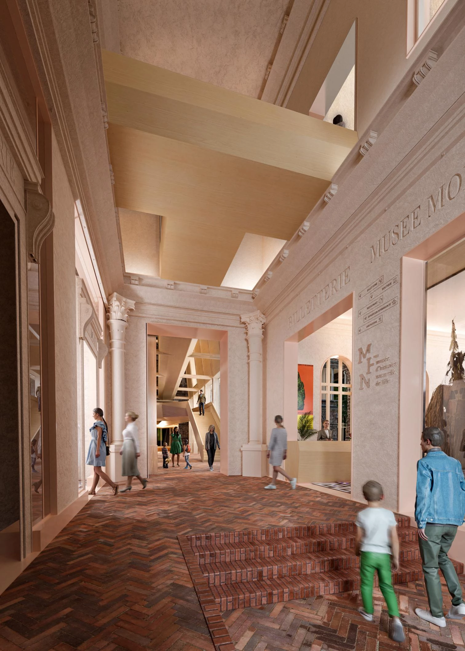 Renovación del Museo de Historia Natural de Lille