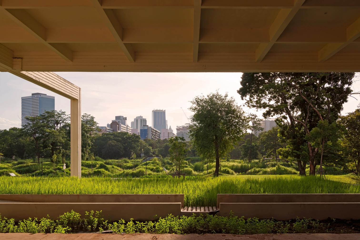Parque forestal Benjakitti en Bangkok