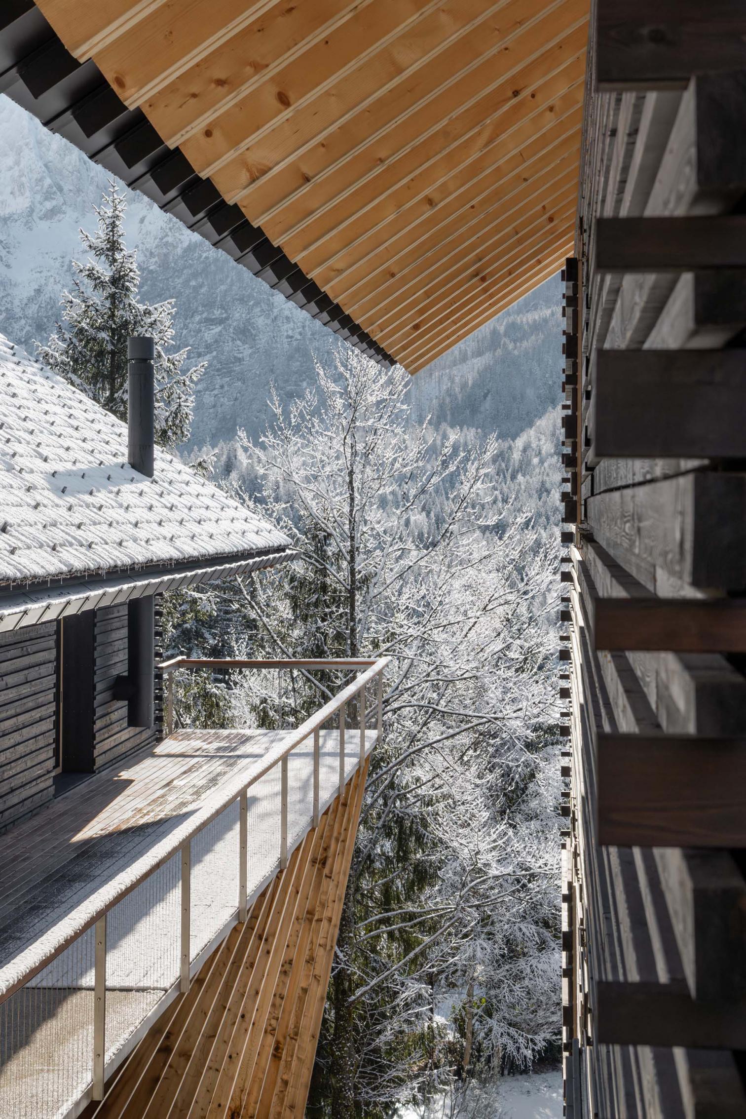 Twin Alpine Houses