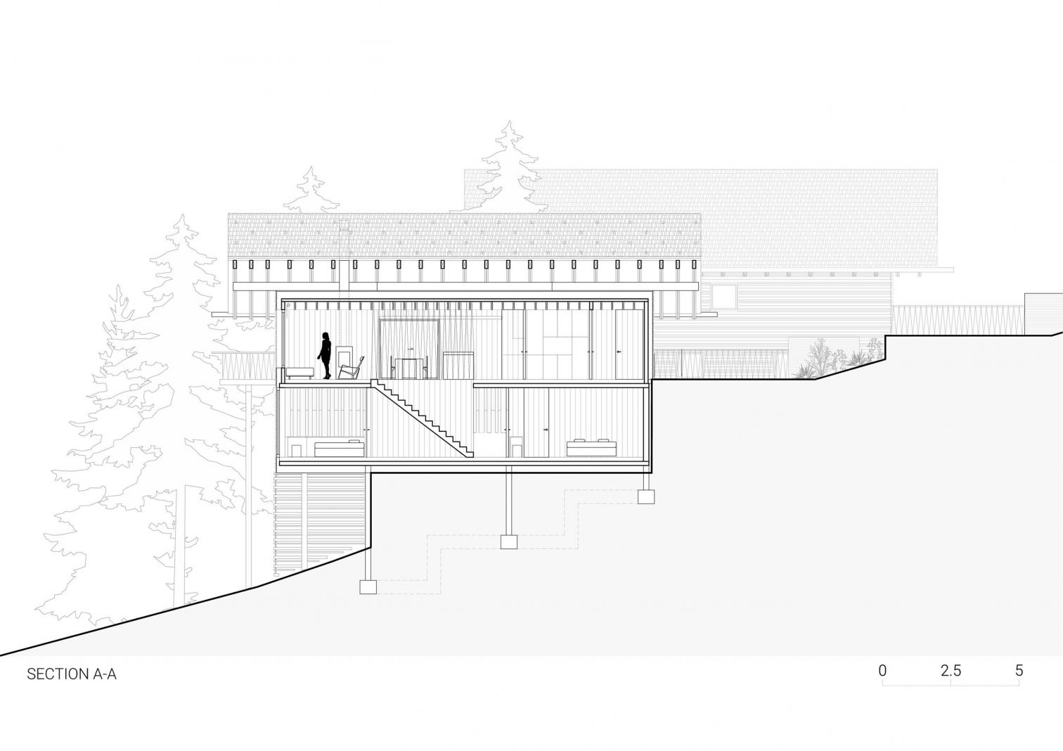 Twin Alpine Houses